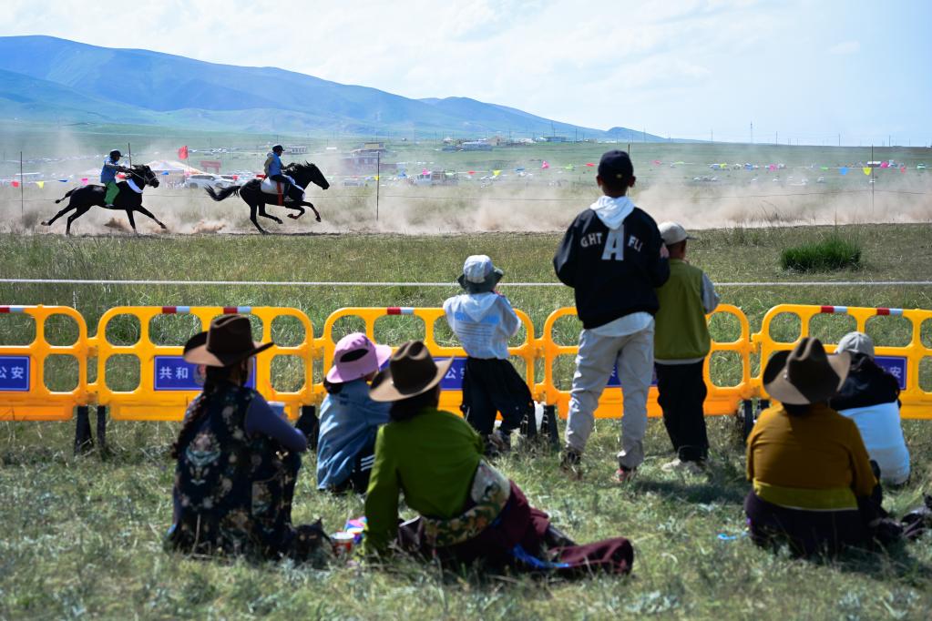 青海湖畔的草原盛會(huì)