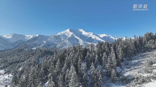 走近祁連山巾幗管護(hù)隊